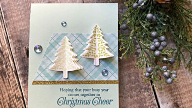 Beginner Friendly 3D Christmas Card Using VersaMagic Ink Pads