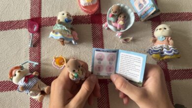 {Review} Sylvanian Family Sea Otters family