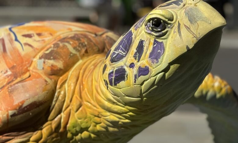 Exploring the Tusk Turtle Trail London 2025