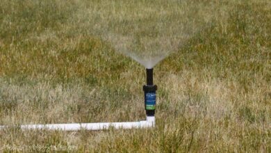 Make a Lawn Watering Sprinkler with PVC Pipe