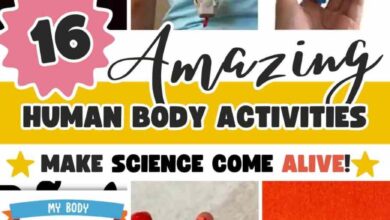 16 Brilliant Human Body Crafts For Kids to Make Science Come Alive