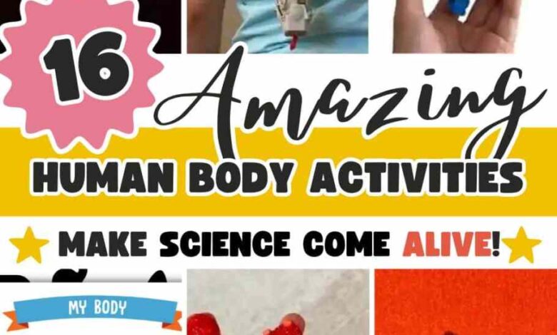 16 Brilliant Human Body Crafts For Kids to Make Science Come Alive