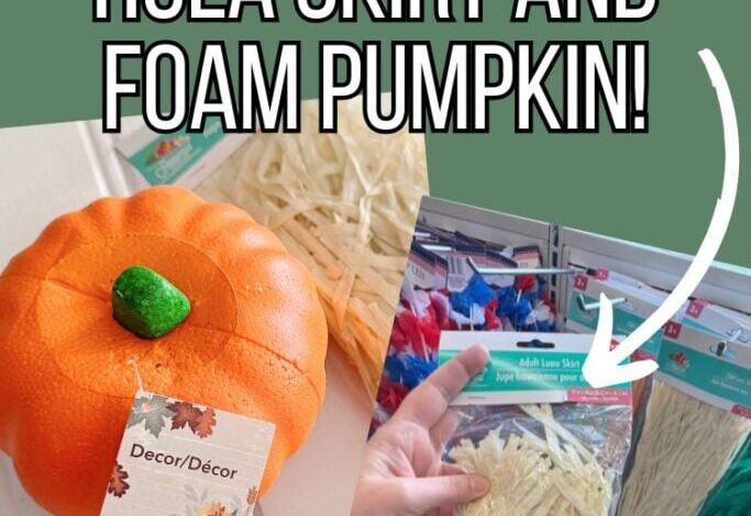 Dollar Store Hula Skirt Pumpkin Craft